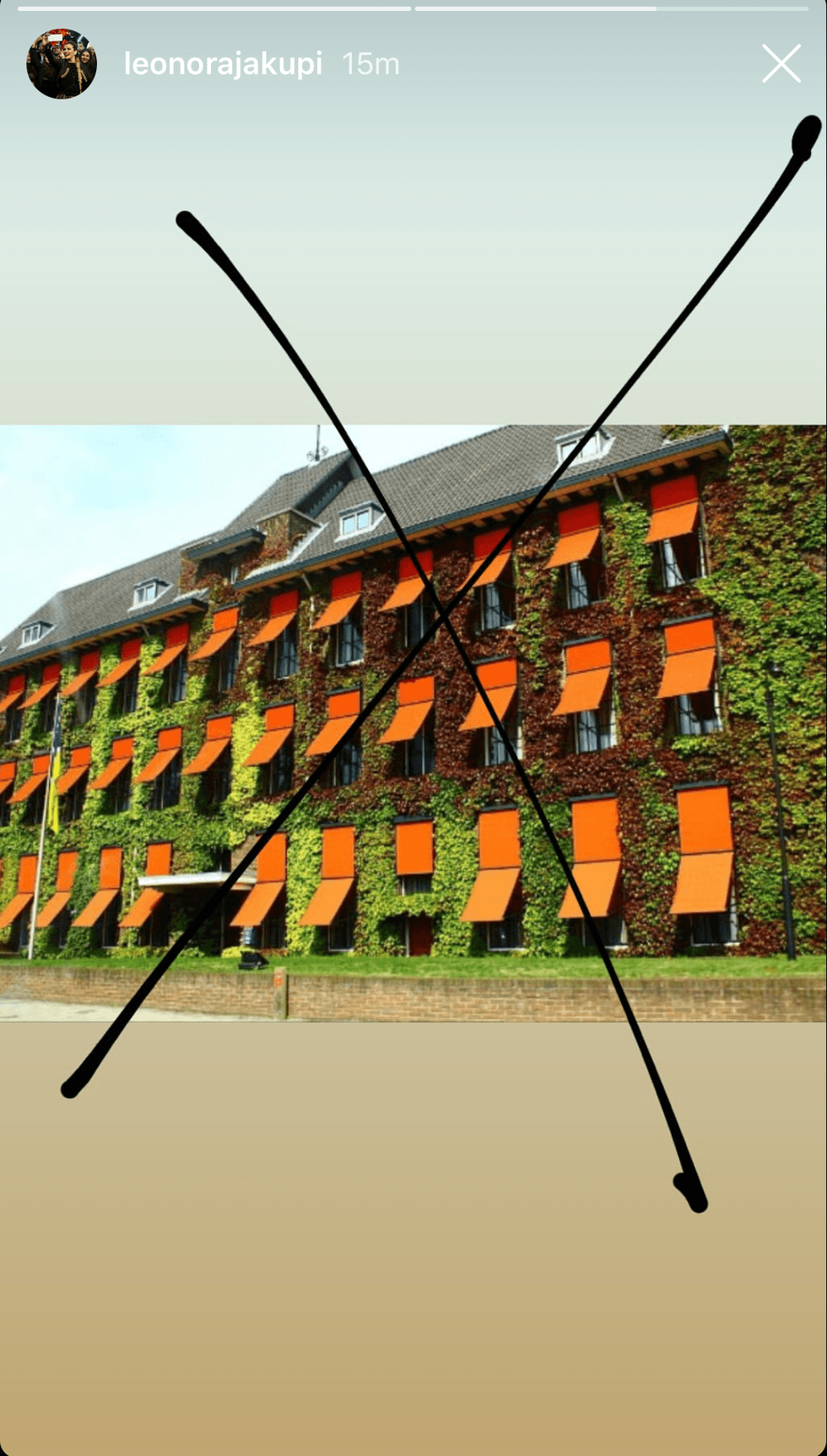 IMG 1408 e1563560068142