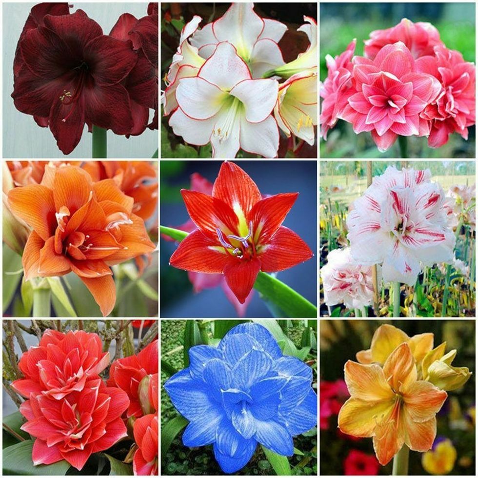 IMG 1838 e1518210903406