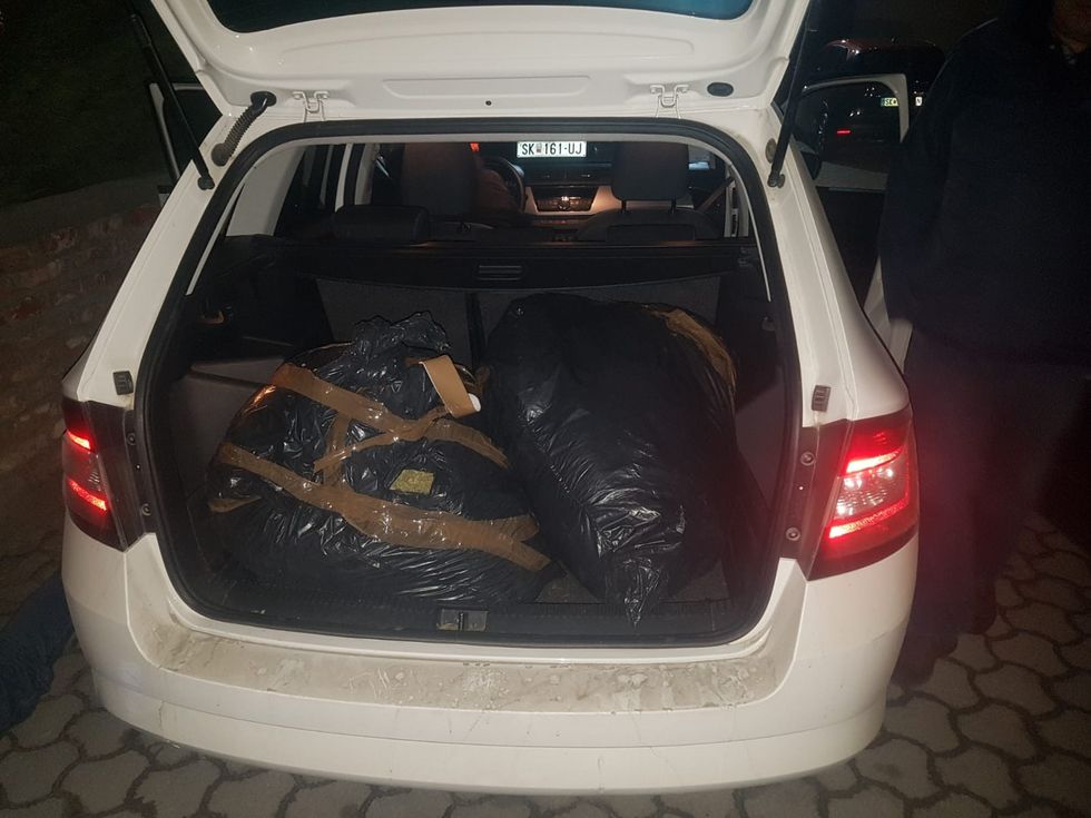 IMG 2d2dd8ac62c1f9fe67e97f4bb8d928b9 V