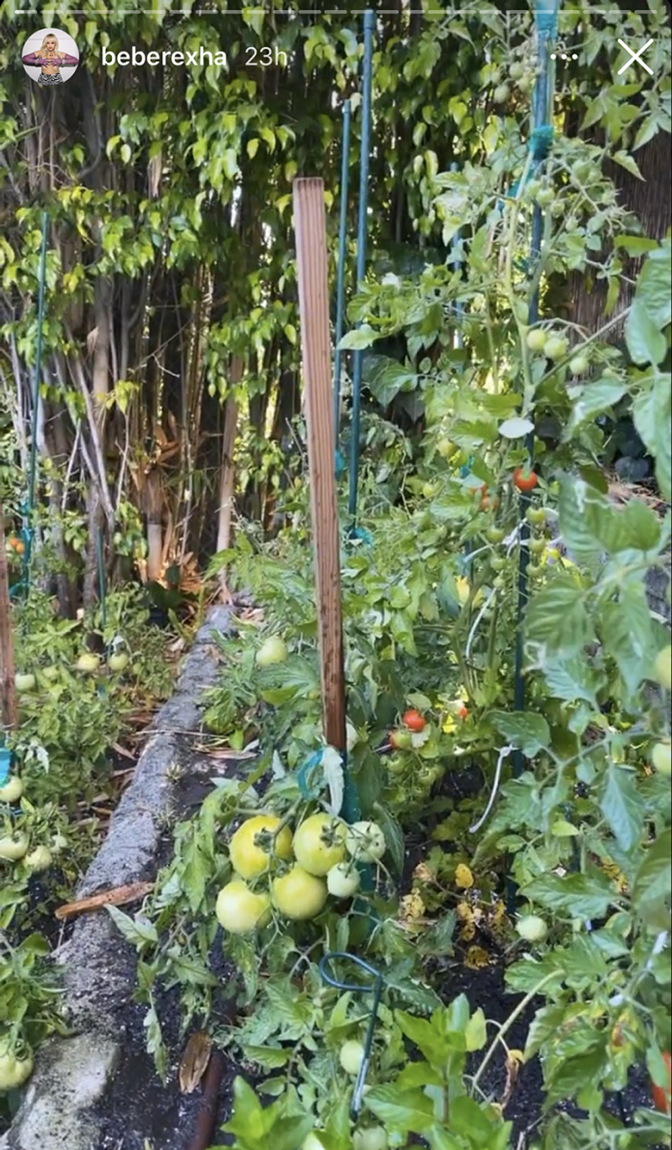 IMG 3417 e1628447080478