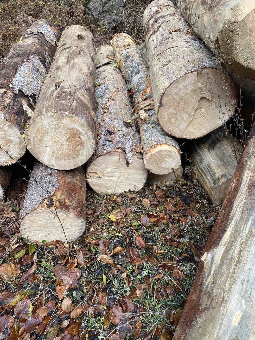 IMG 3594f4c926b66056e586bda24f705a32 V