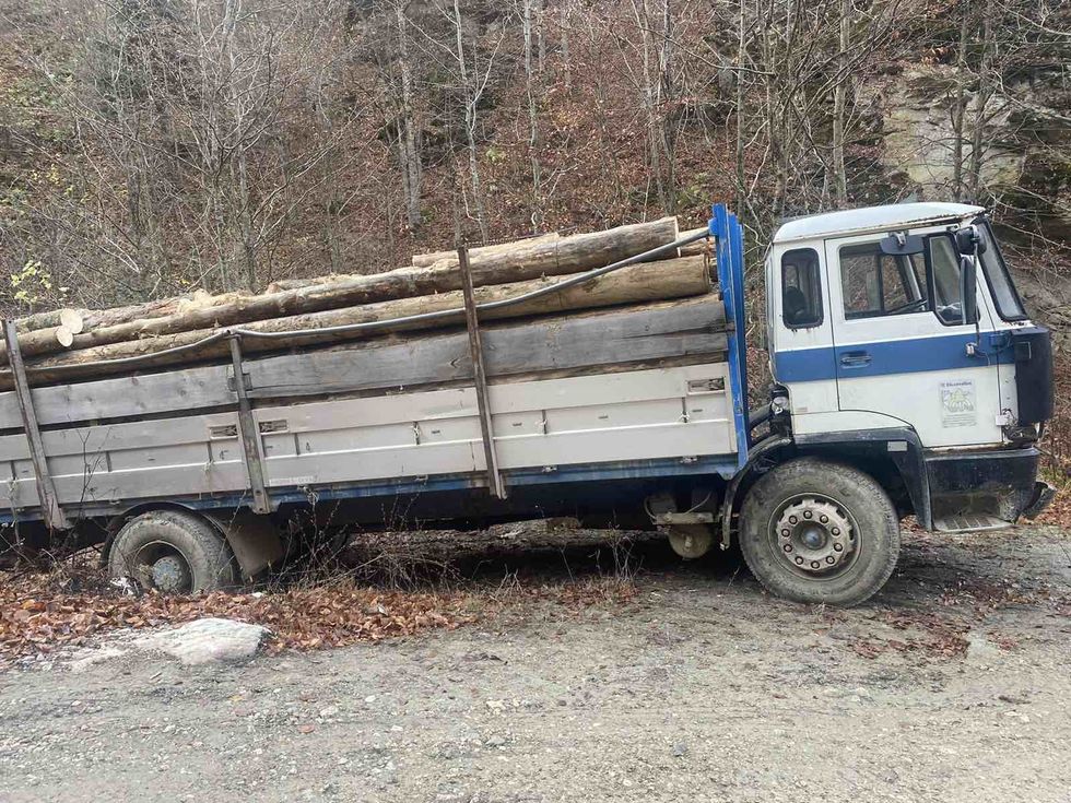 IMG 3788f2c756eaf1ab44b83192c287f41d V