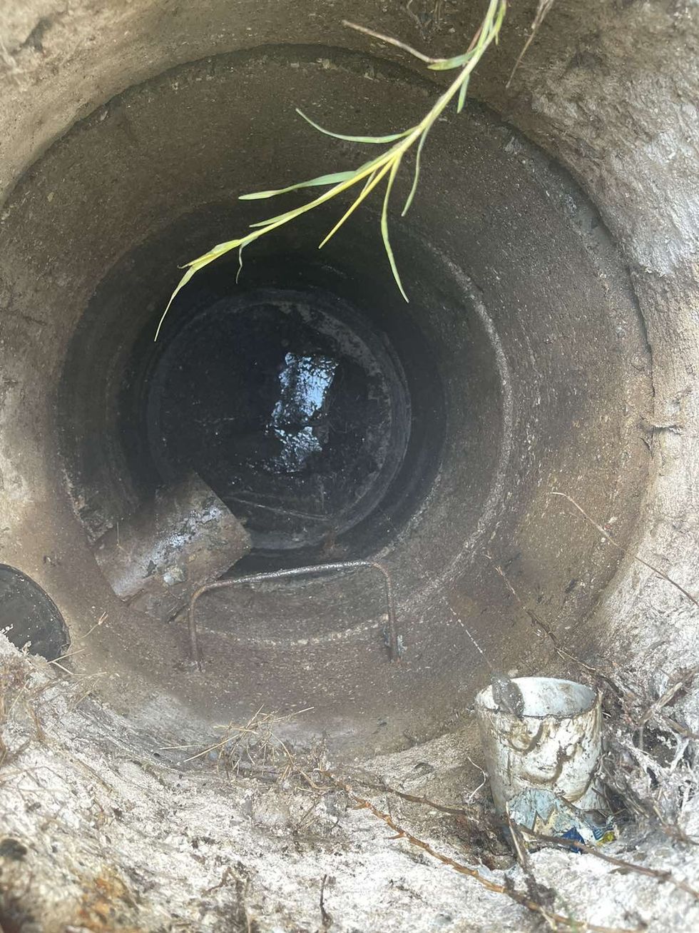 IMG 8e2457e121973761786f8ec16d2e9a44 V