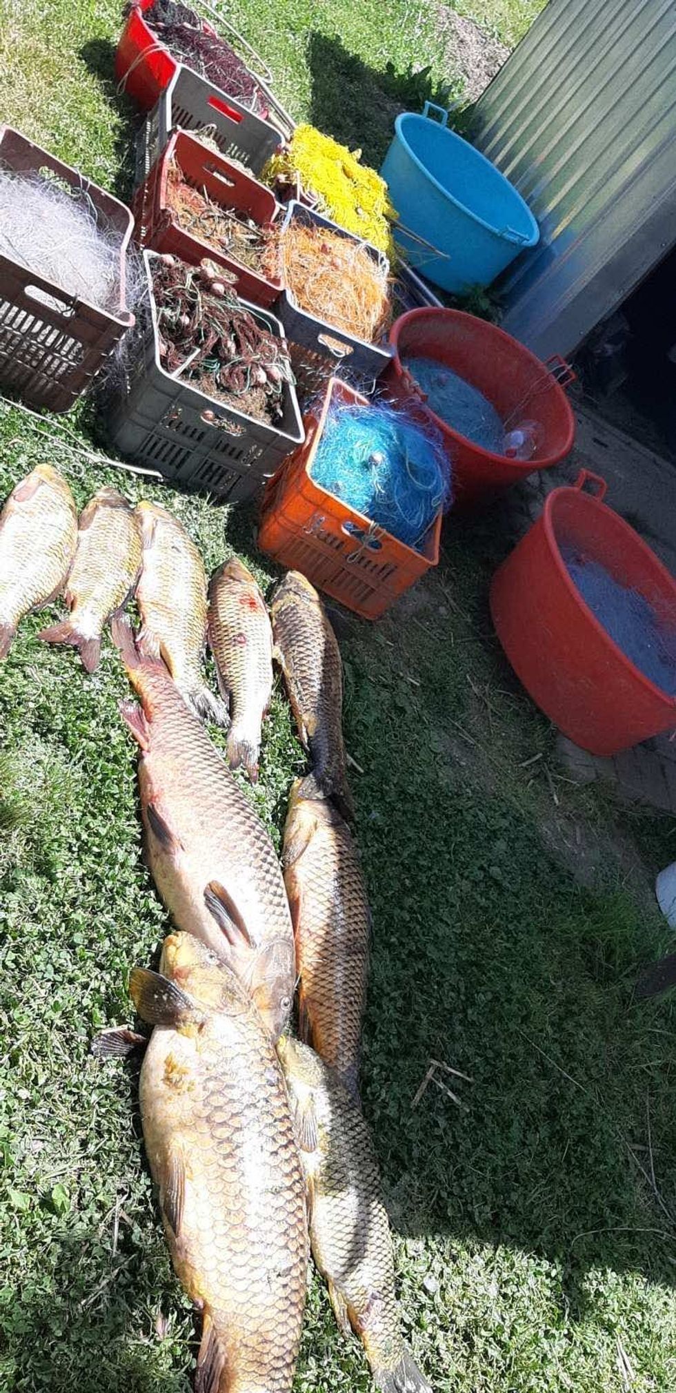 IMG b85a1e0a6d84530b5277286f80f0f07e V