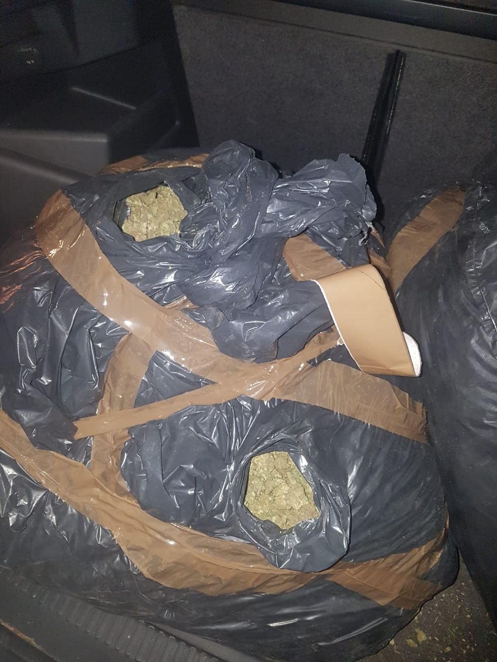 IMG b8674e7944904b9938f8c9c689517557 V