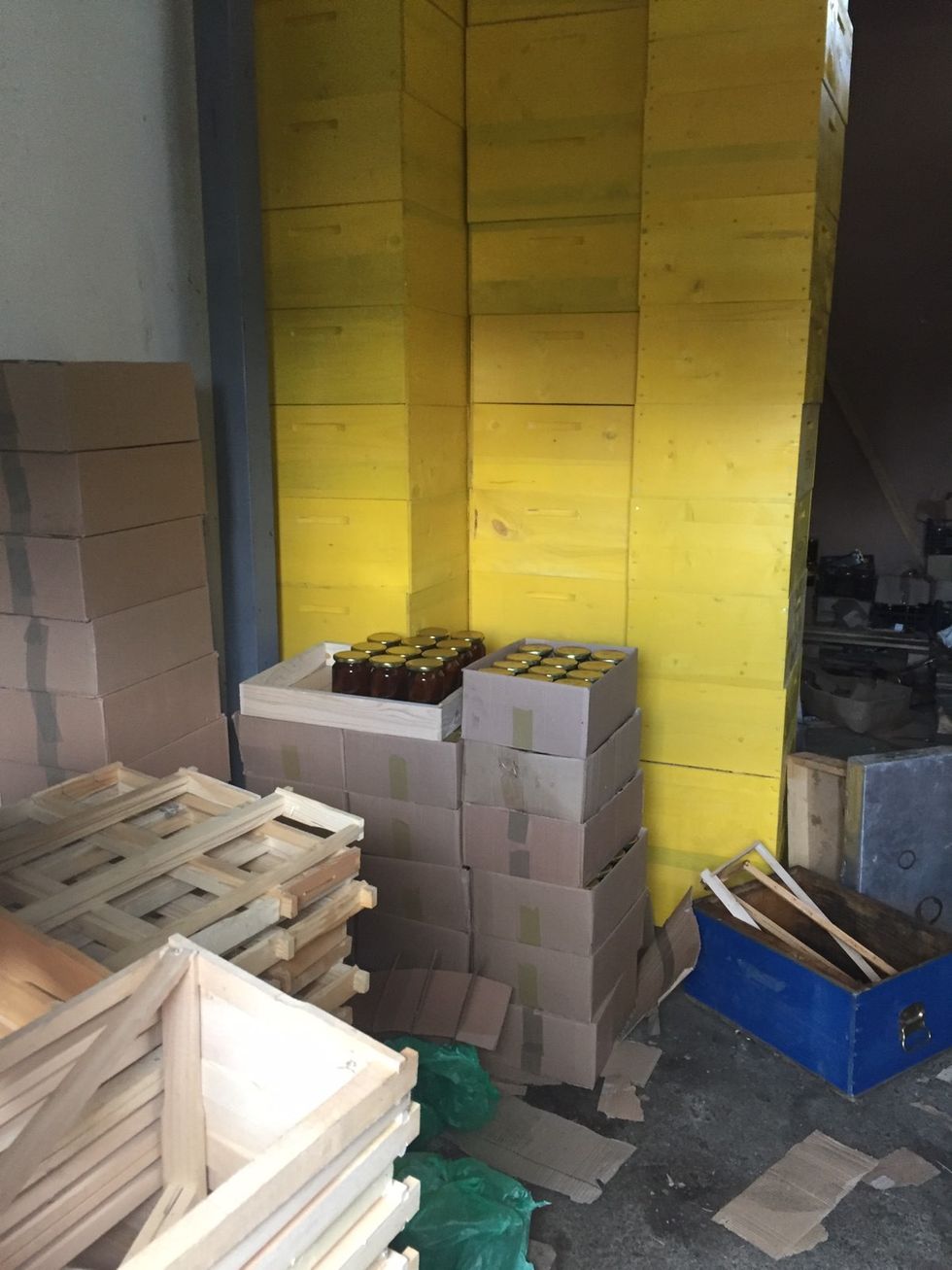 IMG b8db30596dee45129e78428bfcea6636 V