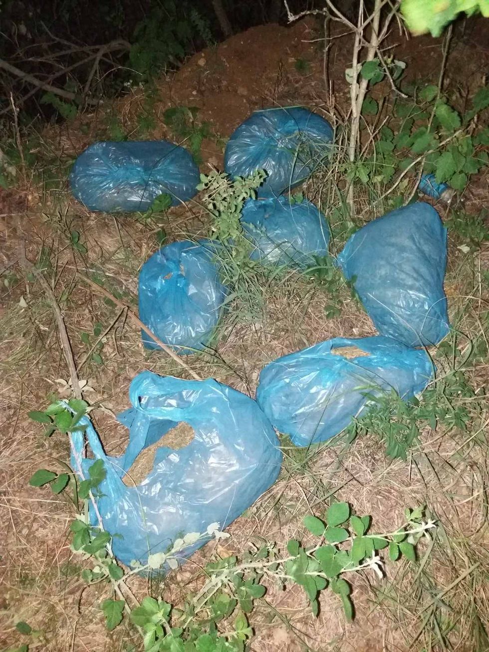 IMG c3755c9c75b083672534c76faff3427d V