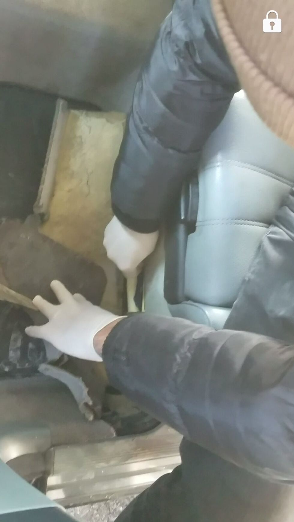 IMG d086df743355618a188cf05b72b3e64e V