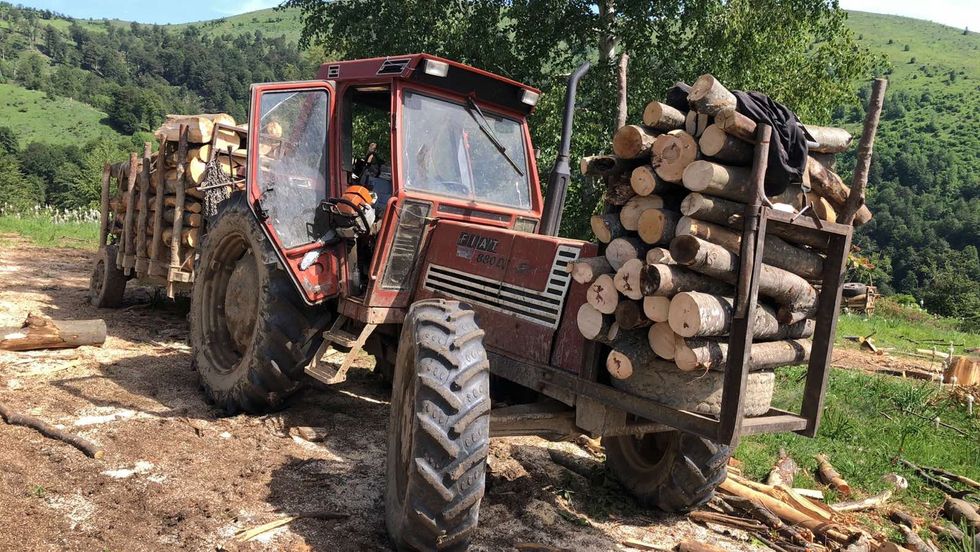 IMG eb7d41bd4621910e04291bdb76272a24 V