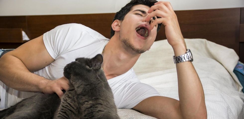 img i m allergic to cats but i love them what to do 9909 orig 1