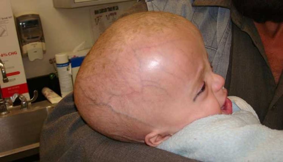 img14691 1smaller cropped