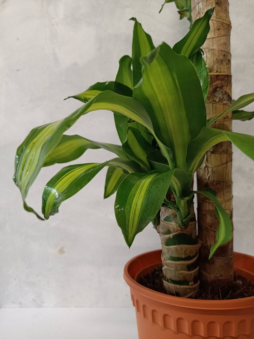 IMG20201104150045 1 scaled