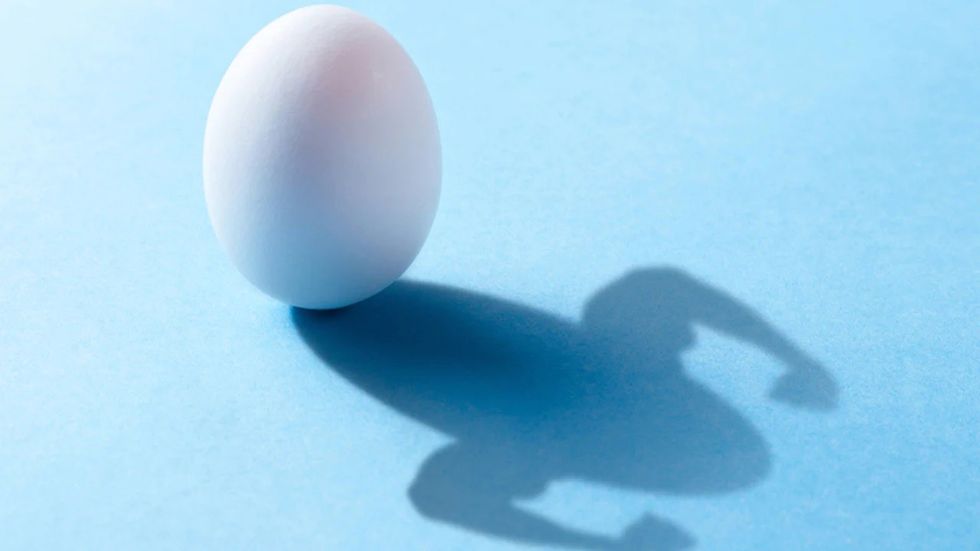 imgpsh fullsize anim