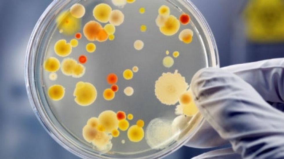 imunotoksina 3b3 pe38 mund t rsquo i shkat euml rroj euml qelizat e infektuara me hiv hd