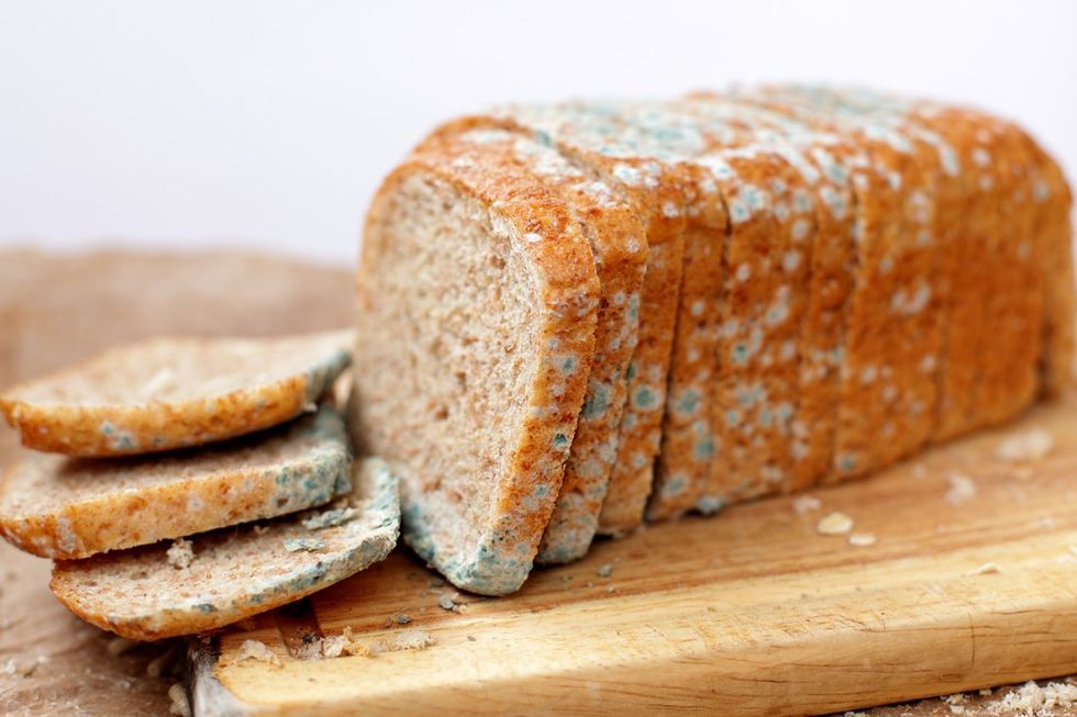 Is it safe to still eat the safe looking parts of moldy bread