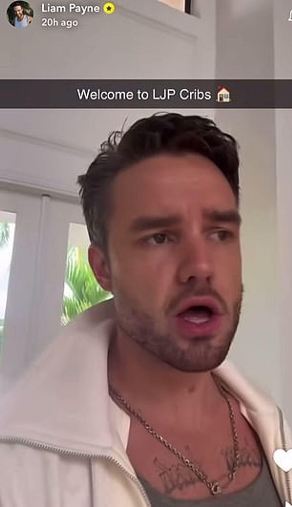 Ish-ylli i One Direction u shfaq i lumtur dhe i relaksuar në një video-turne në rezidencën e Wellington, Florida që ndau me të dashurën Kate Cassidy, të cilën e postoi në Snapchat vetëm disa javë para vdekjes së tij në Buenos Aires.