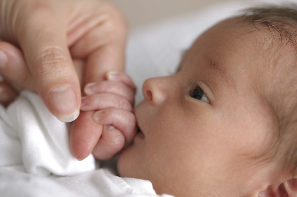 istock000010076706la scaled