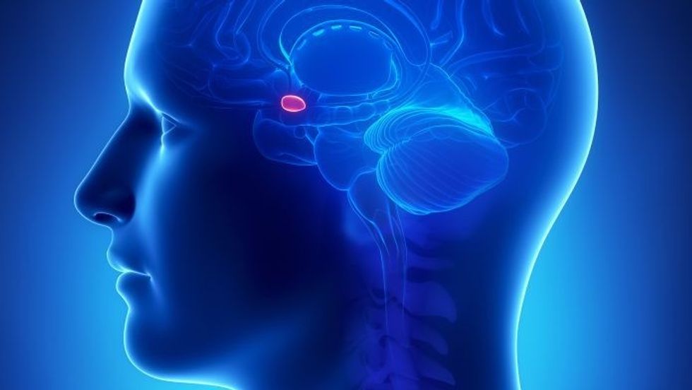 iStockjanulla 178390614 1