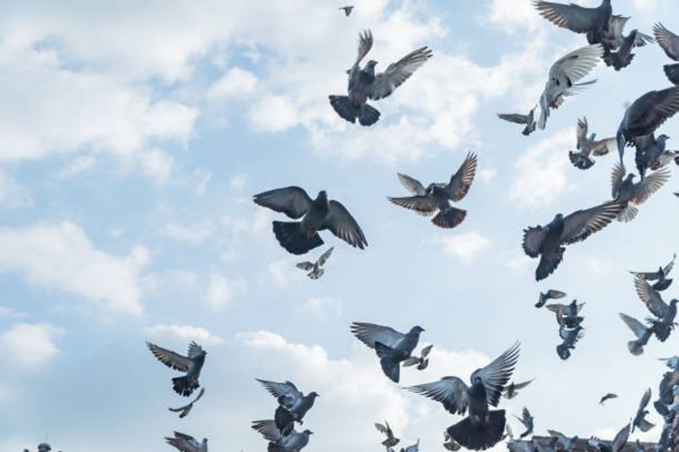 istockphoto 1193413358 1