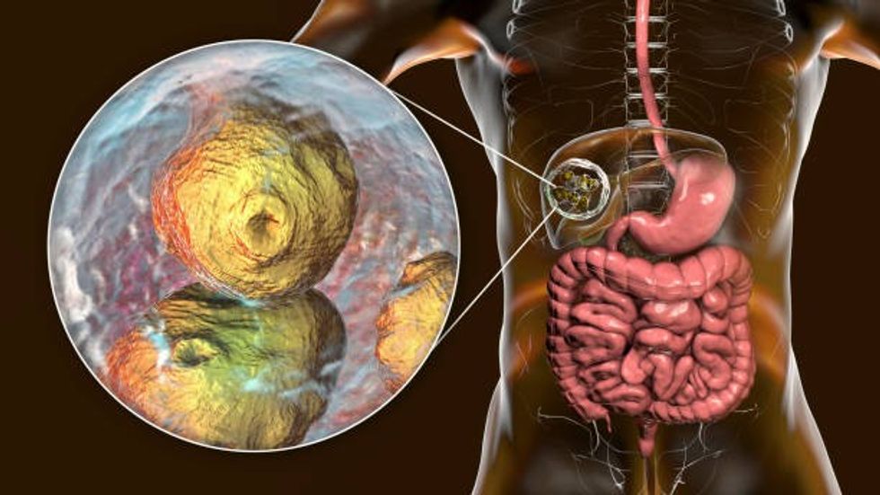 istockphoto 1204006554 1