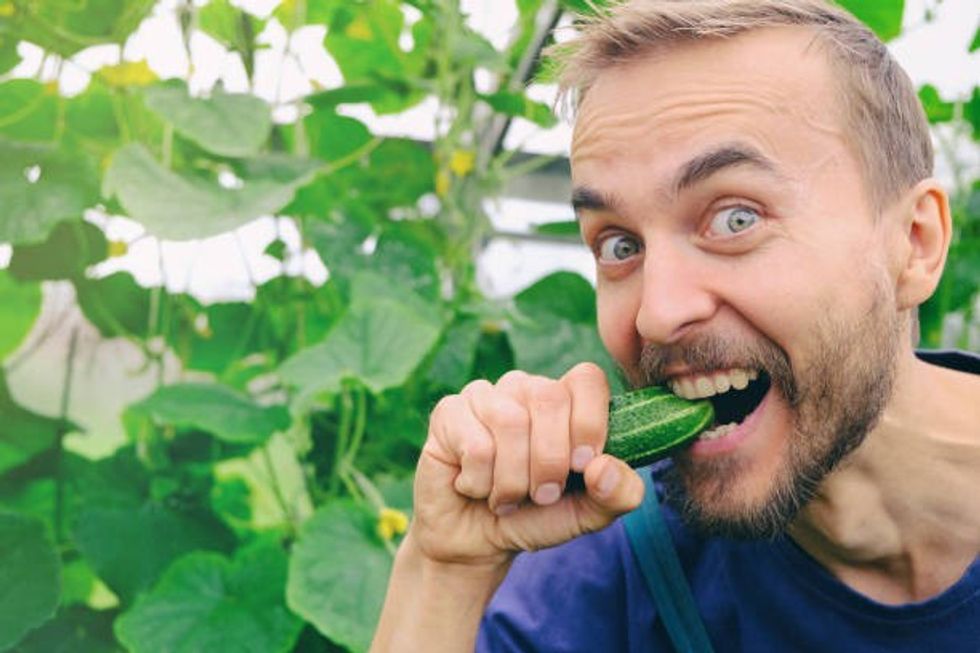 istockphoto 1219735539