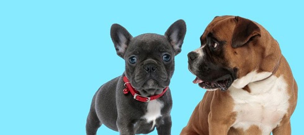 istockphoto 1248487691 170667a