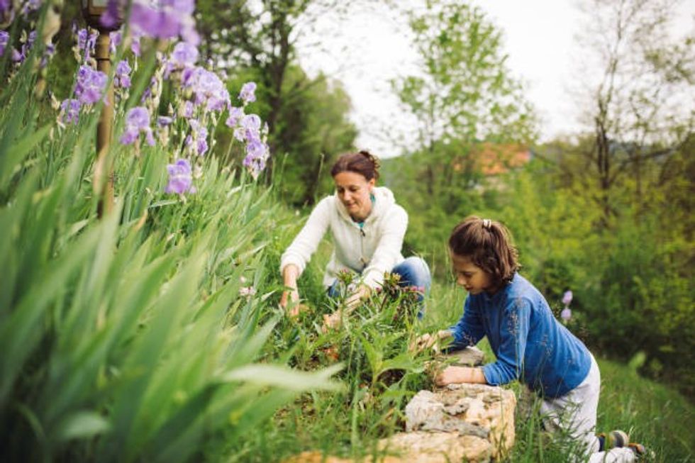 istockphoto 1254947691 1