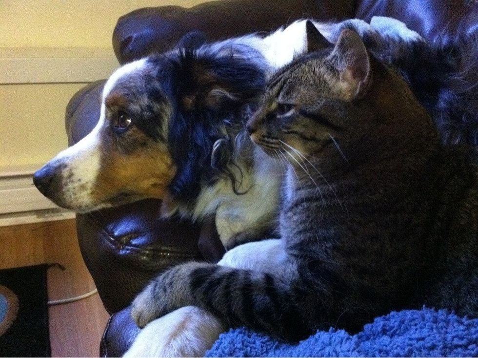 ITXAlDssVr r X6AaReaOiixgokUM2qY64C2yyrNpRw