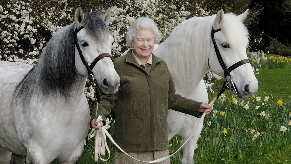 Jingle HM Curlew 395010631 705318631