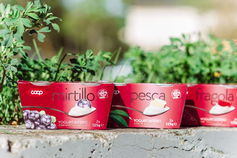 Jogurt me fruta