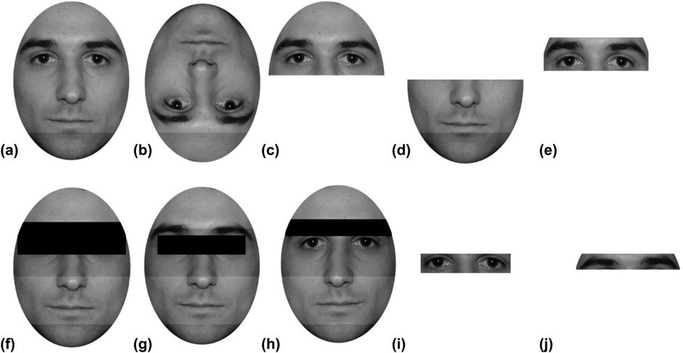 jopy12396 fig 0001 m