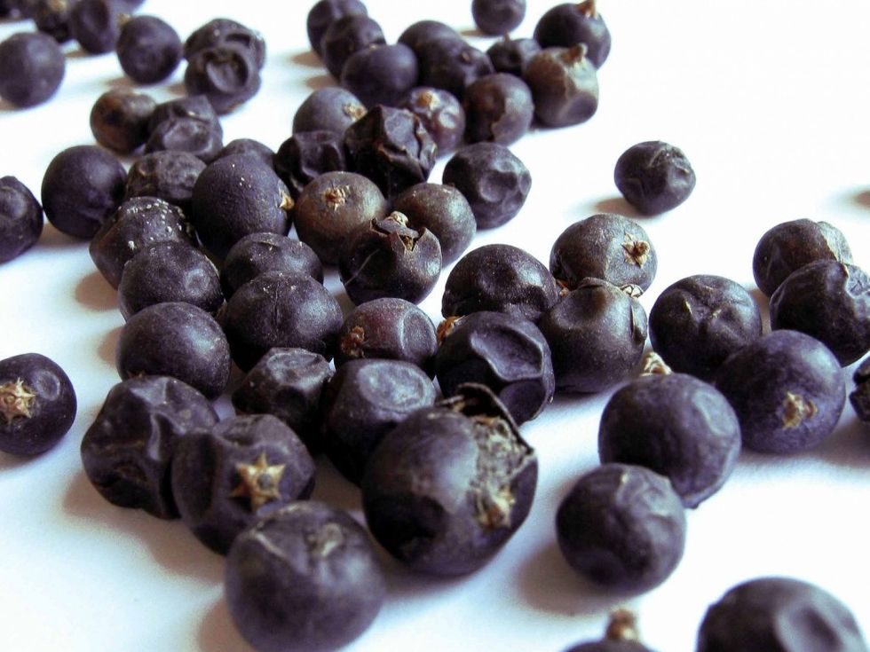 Juniper Berry
