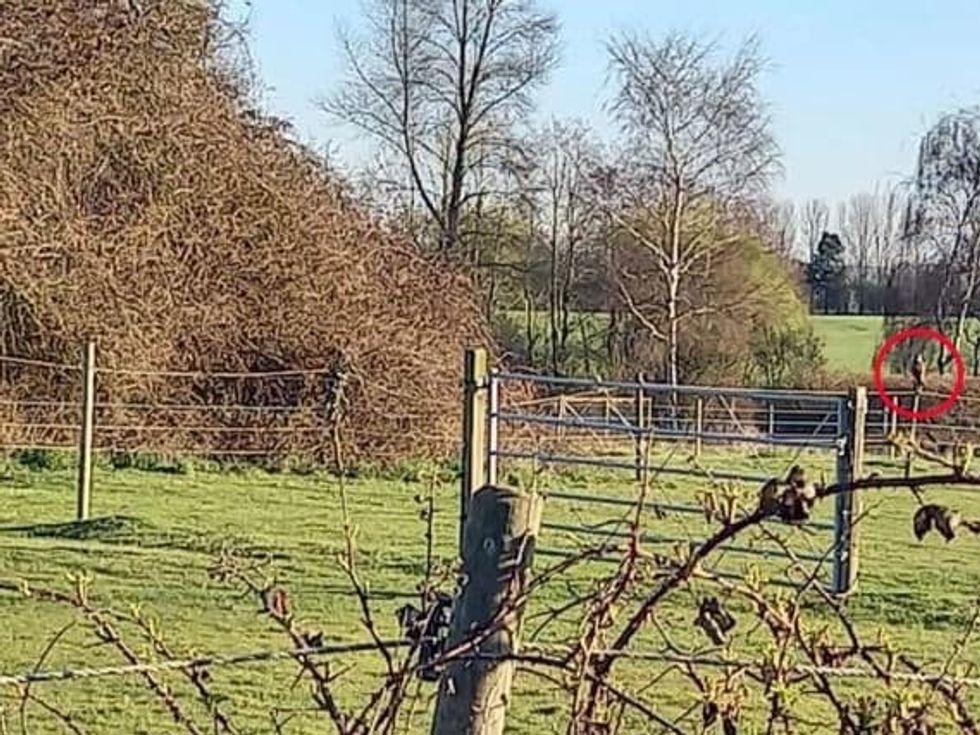 jwuckckbc13ytqwmkeoy