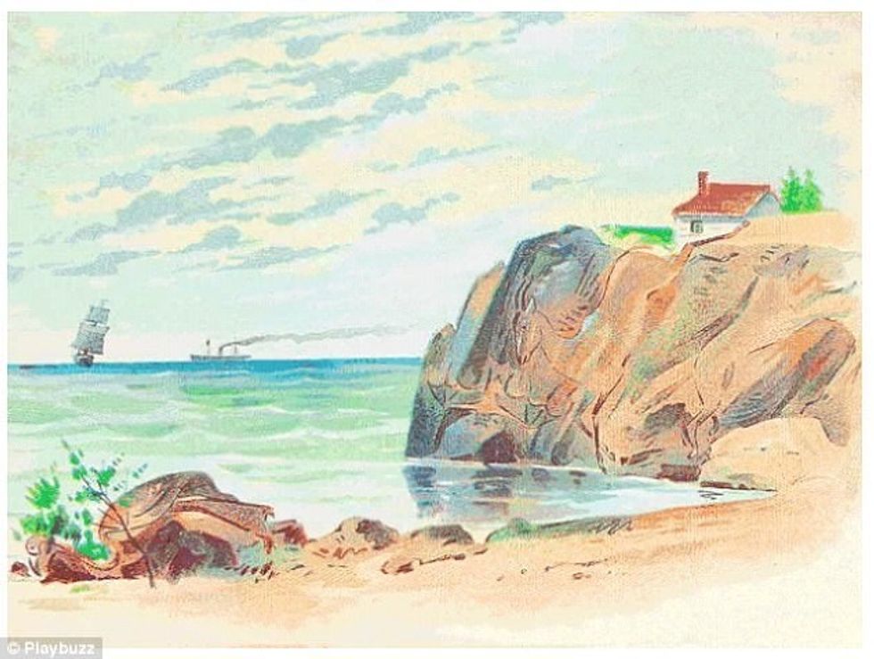 Kafshët e fshehura në këtë ilustrim mund ti gjejne vetem ata qe dine te analizojne foto 2