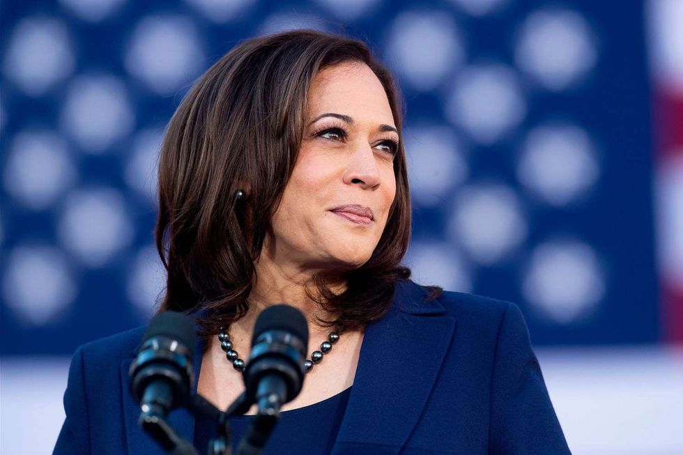 kamala harris 8 2000 79b1d1ebfe004735bed88c11839fe711 1