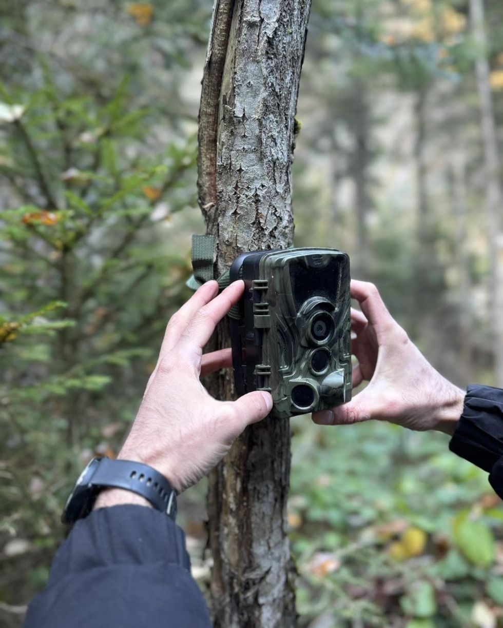 kamerat kurth vendosja