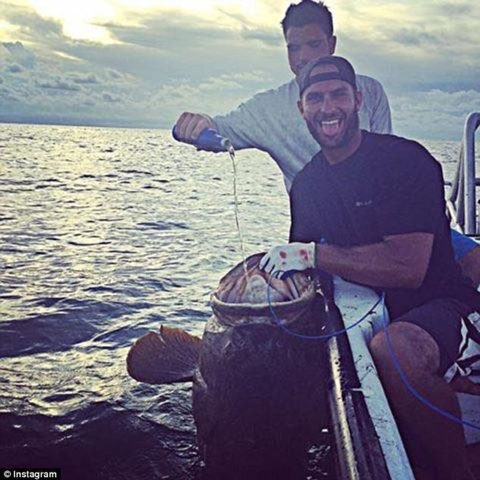 Keqtrajtimet mbi kafshë i tregojne me krenari ne rrjetin social foto 1