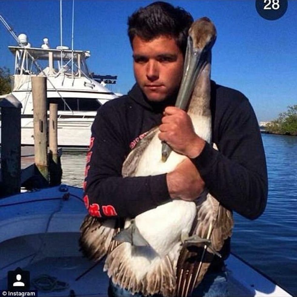 Keqtrajtimet mbi kafshë i tregojne me krenari ne rrjetin social foto 4