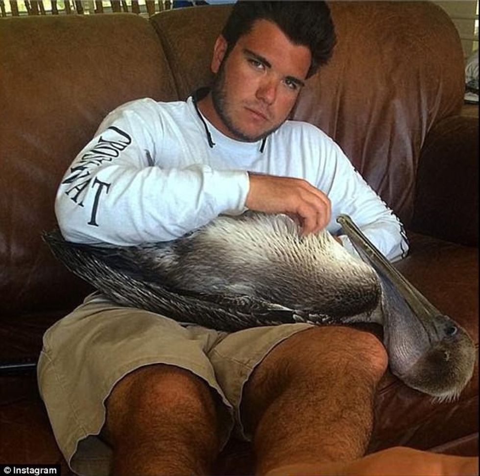 Keqtrajtimet mbi kafshë i tregojne me krenari ne rrjetin social foto 5