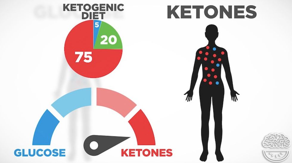 keto101WEB