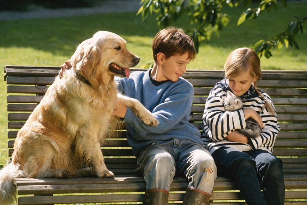 kids on bench with pets