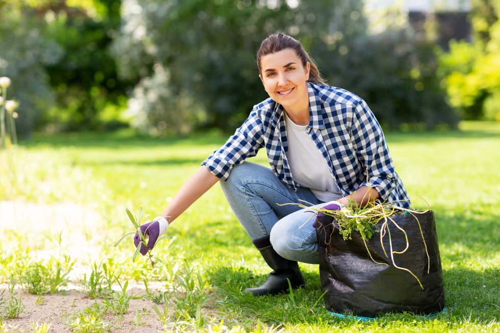 killing weeds permanently scaled 1