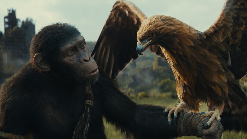 Kingdom of the Planet of the Apes BD