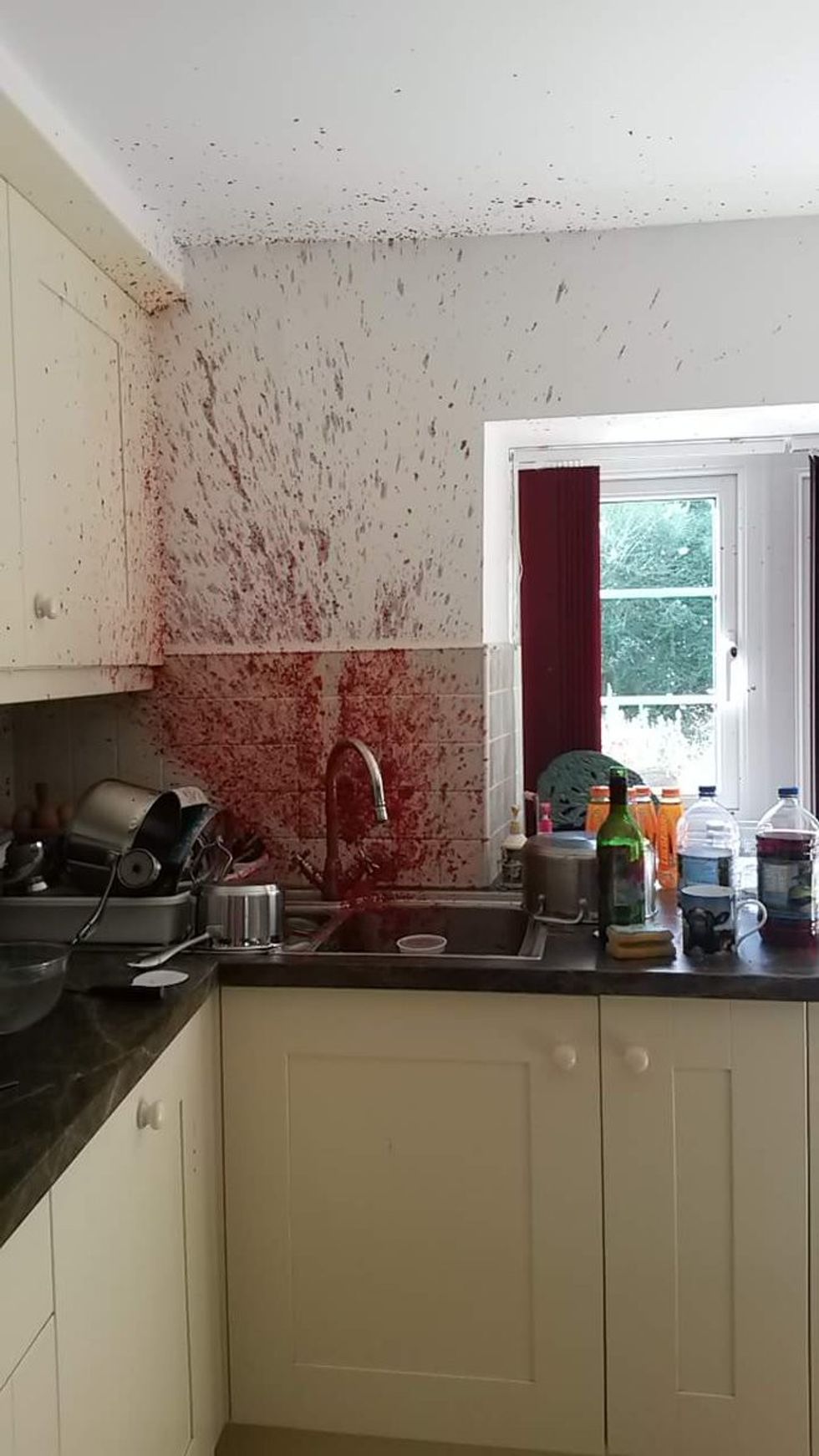 Kjo skene krimi eshte vetem nje ndodhi e pademshme foto 2