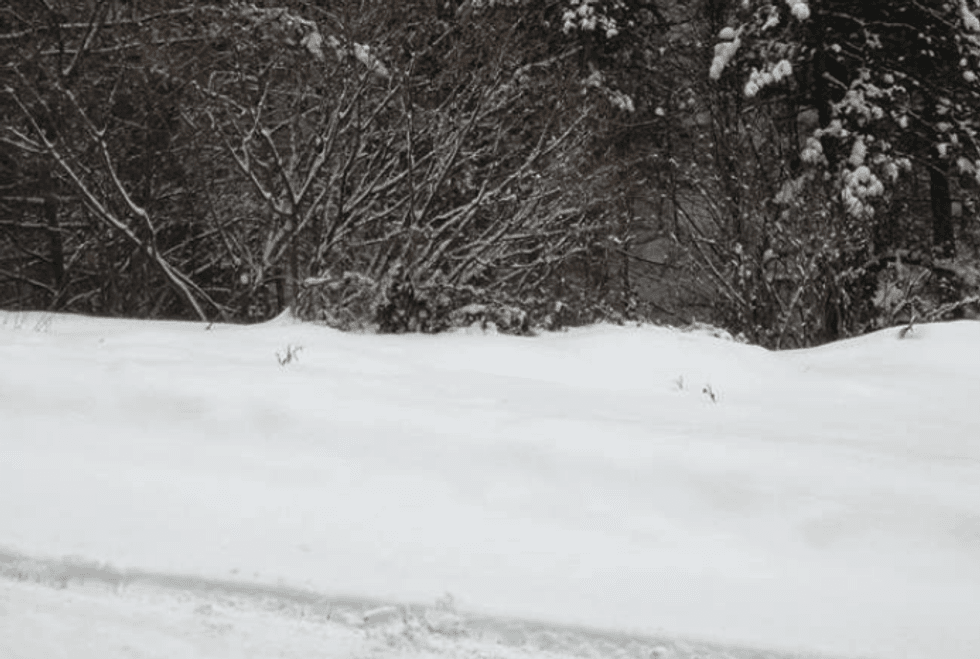 Kodra e Diellit prill1