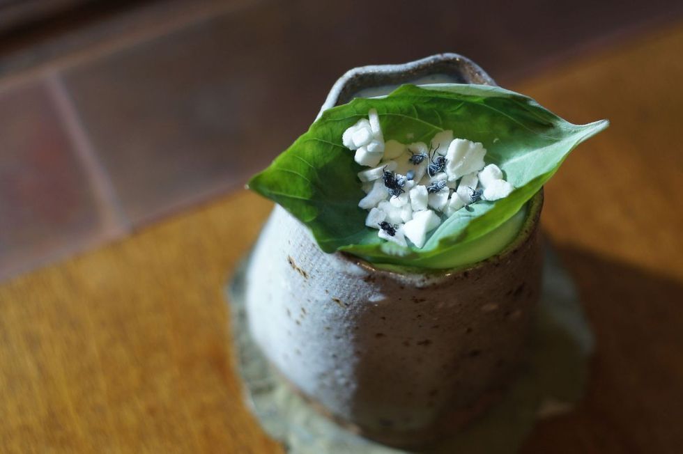 Koktej me buburreca per ata qe duan te dehen me pije te ushqyeshme foto 2