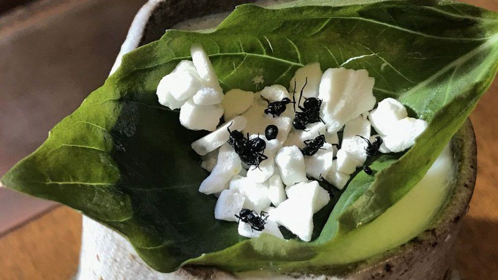 Koktej me buburreca per ata qe duan te dehen me pije te ushqyeshme foto 3