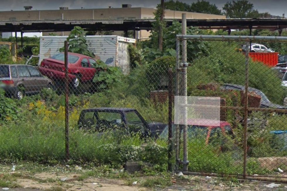 Koleksionuesit foto 7