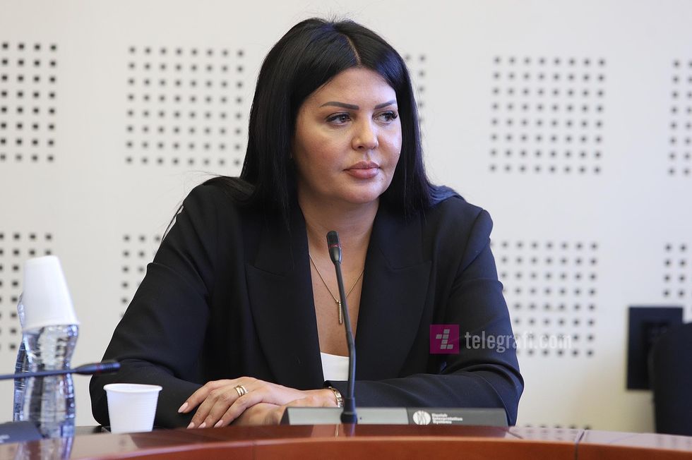 Komisioni per Integrim Evropian Rrezarta Krasniqi foto Ridvan Slivova 12