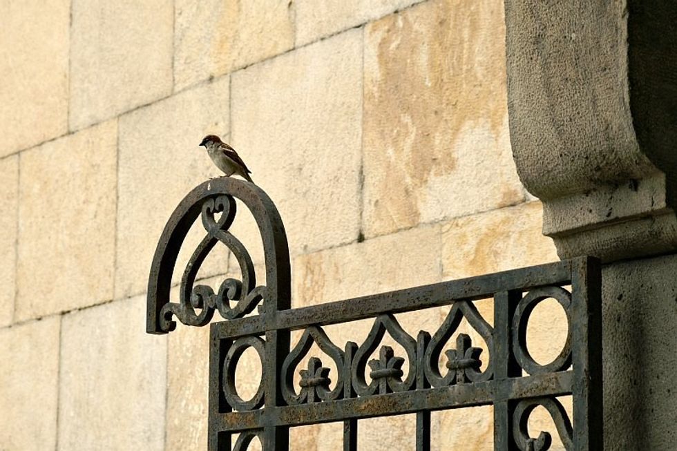 KONICA MINOLTA DIGITAL CAMERA